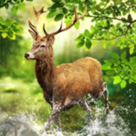 巴斯托尼小腿肌肉拉伤退出国家队，将错过对阵尤文和那不勒斯